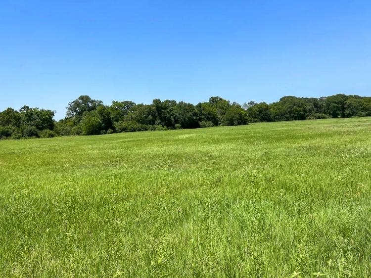 21 Acres | T-7B | Private Road