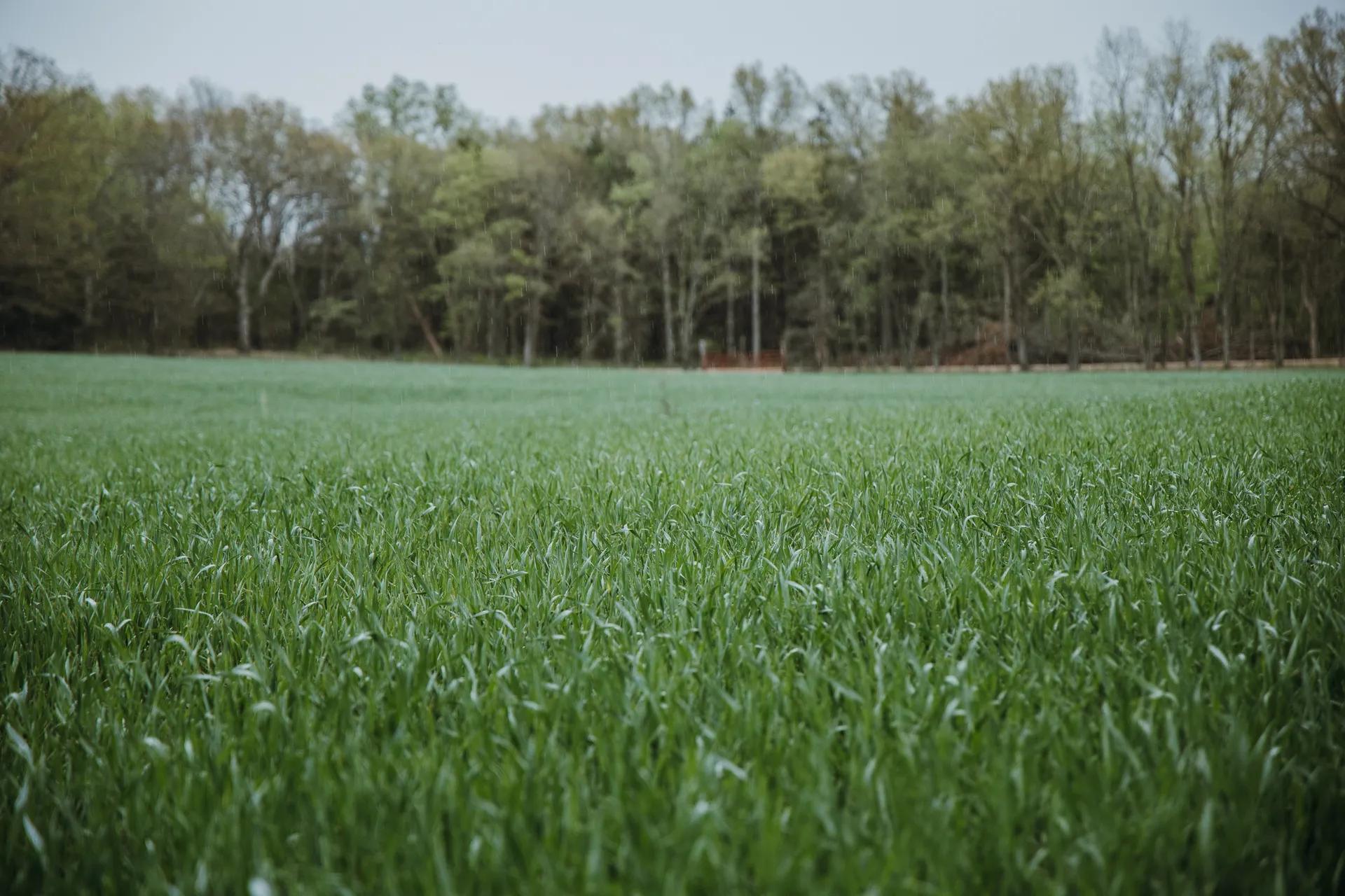 28921735-3