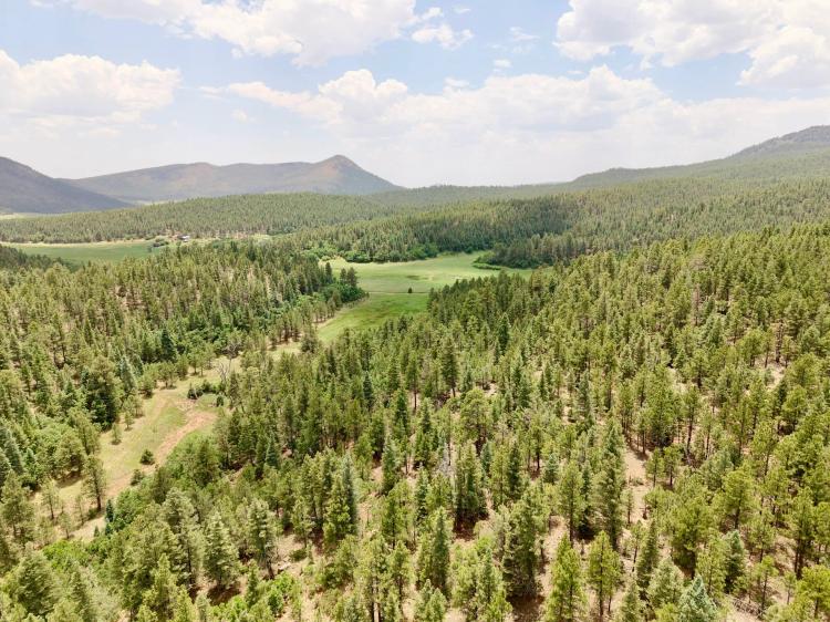 Ocate Mesa Hunting Camp
