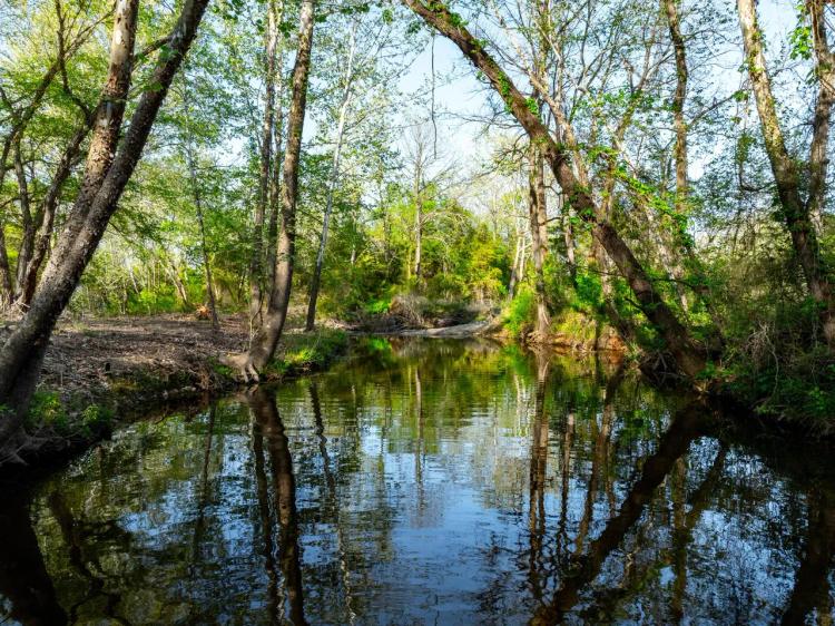 97 +/- Acres, Year Round Creek, Pasture, Woods, Electric, Water, Paved Road Frontage, Evening Shade, Arkansas