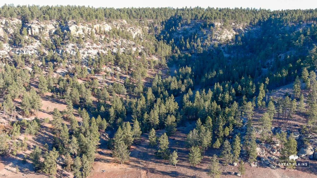 40 Acre - Raw Land - Roundup, MT