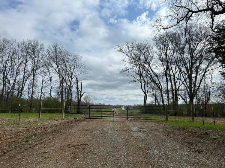 78 Acres in Canton in Madison County, MS