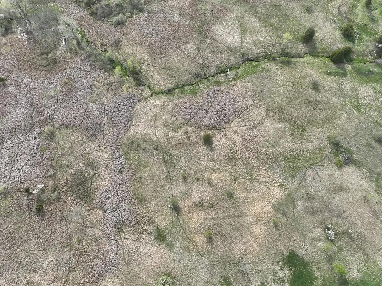 29051551-20
