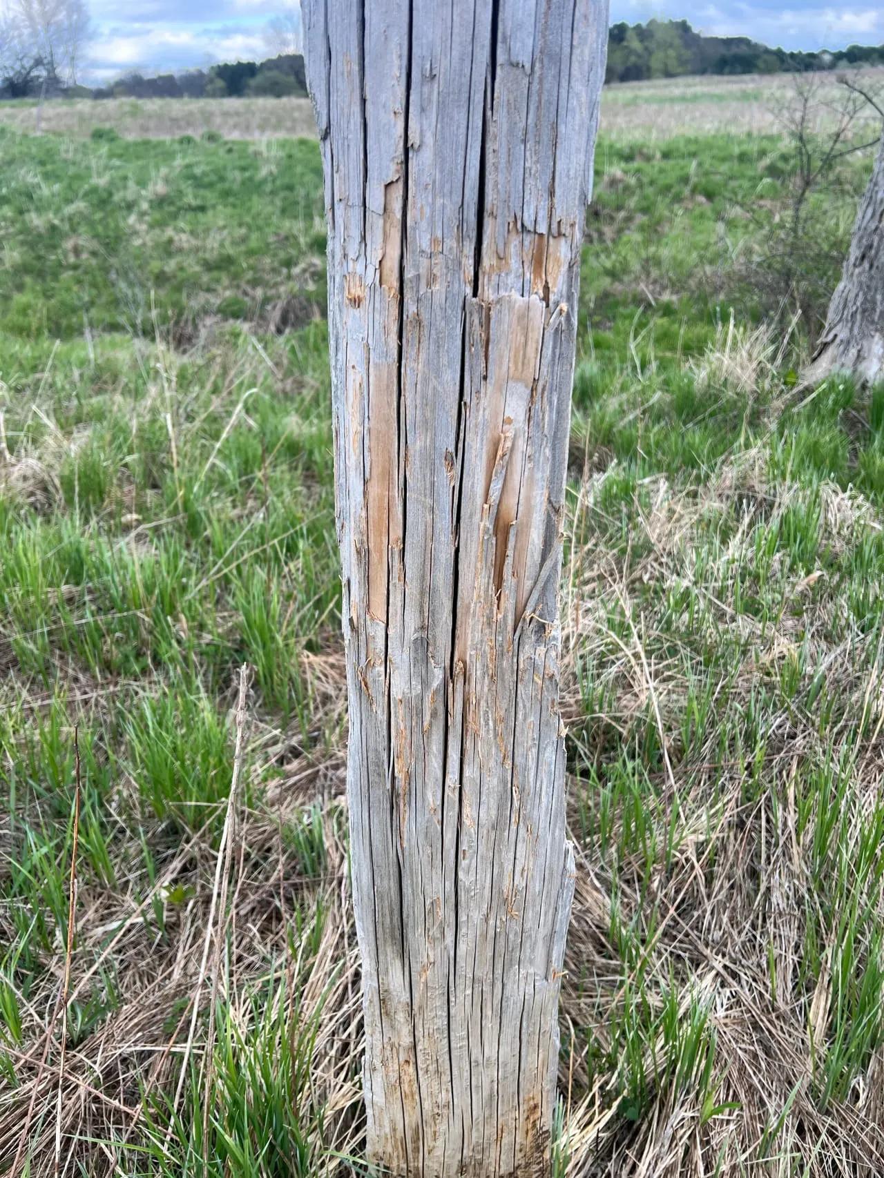 29051551-87