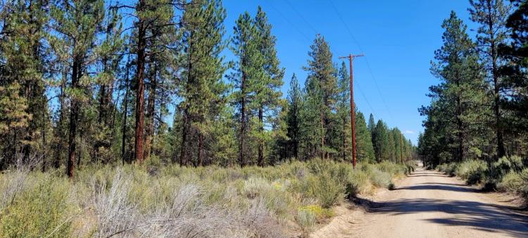 Treed Southern Oregon Parcel with Power at Road