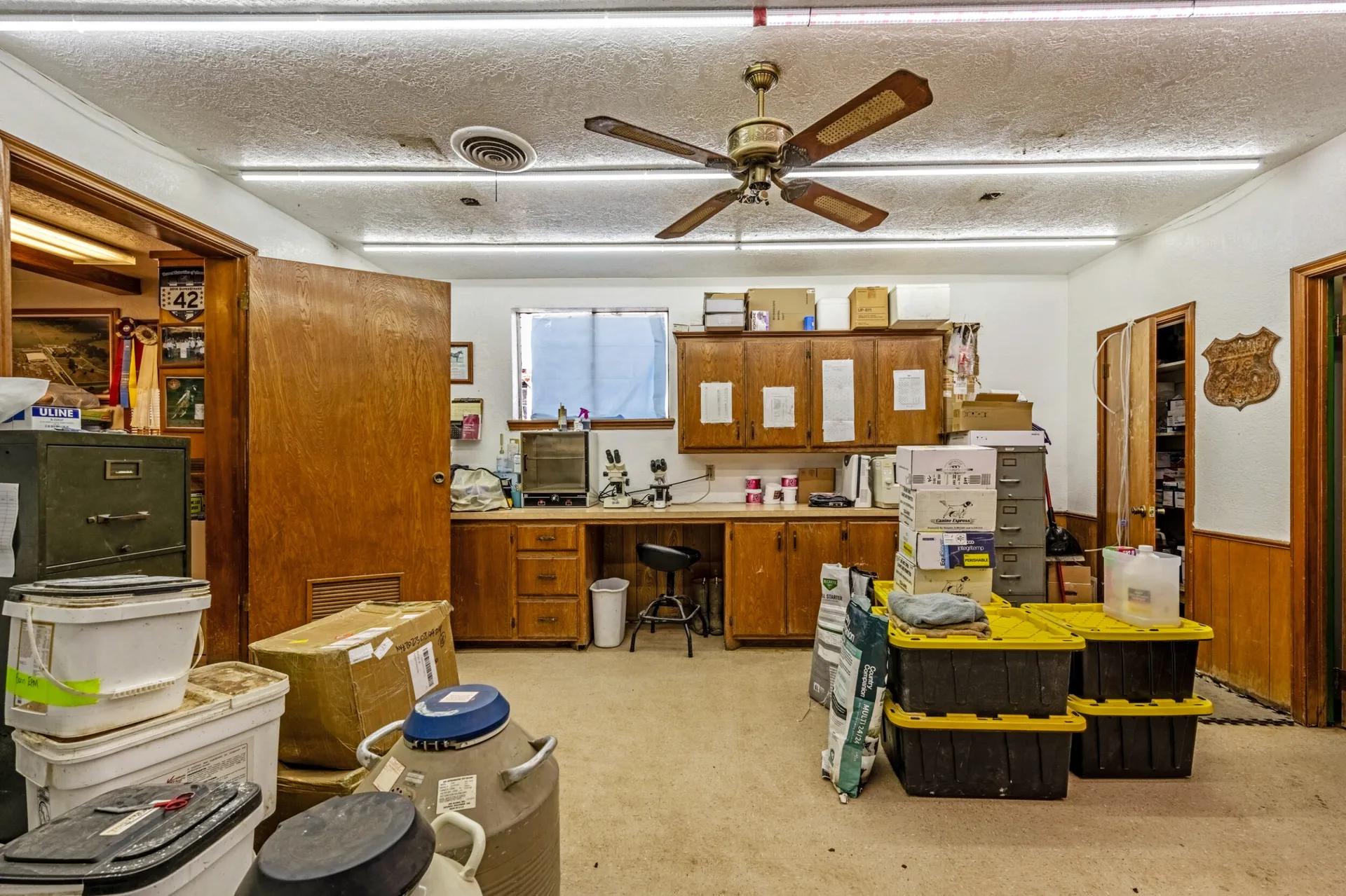 29238102-31
