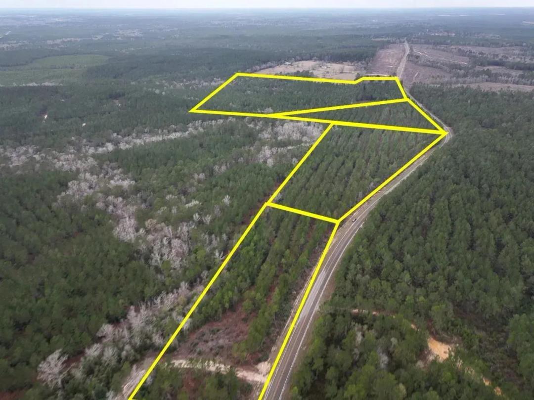 13 Acres | T-5 | FM 1012 | 02450