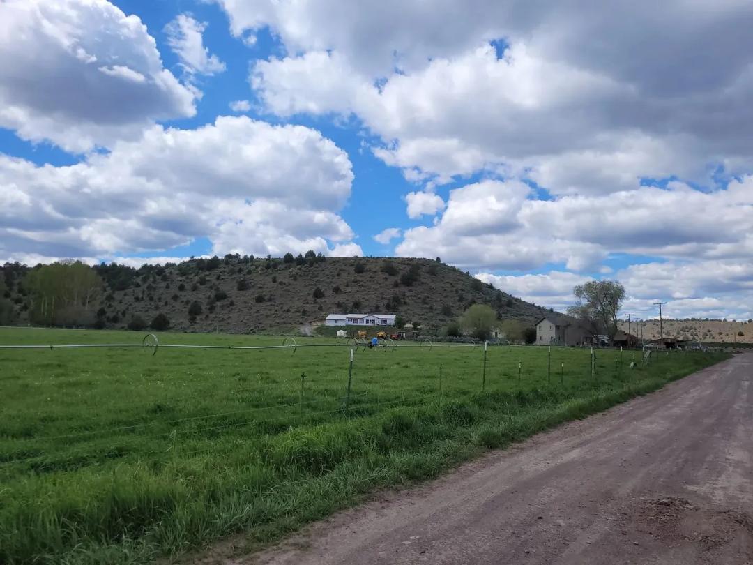 Productive Farm with strong water and multiple houses minutes from town