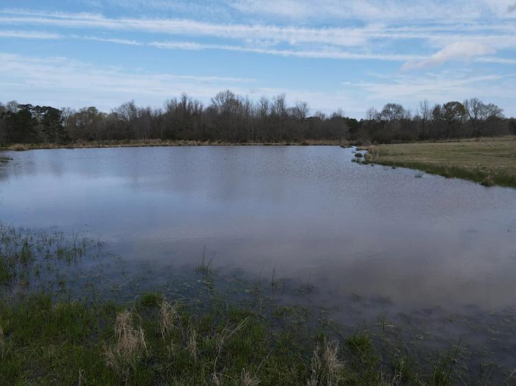 45+/- Acres of Prime Pasture Land