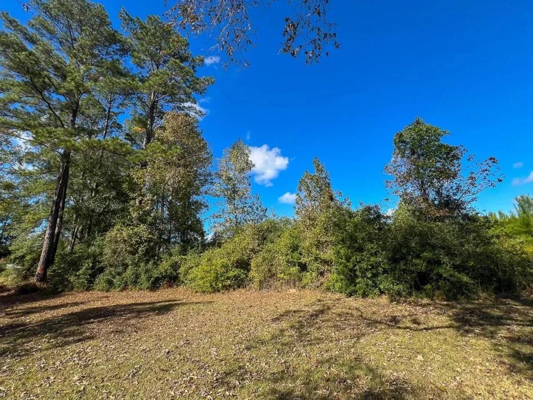 20 Acres | T-2 | FM 787 | 285012