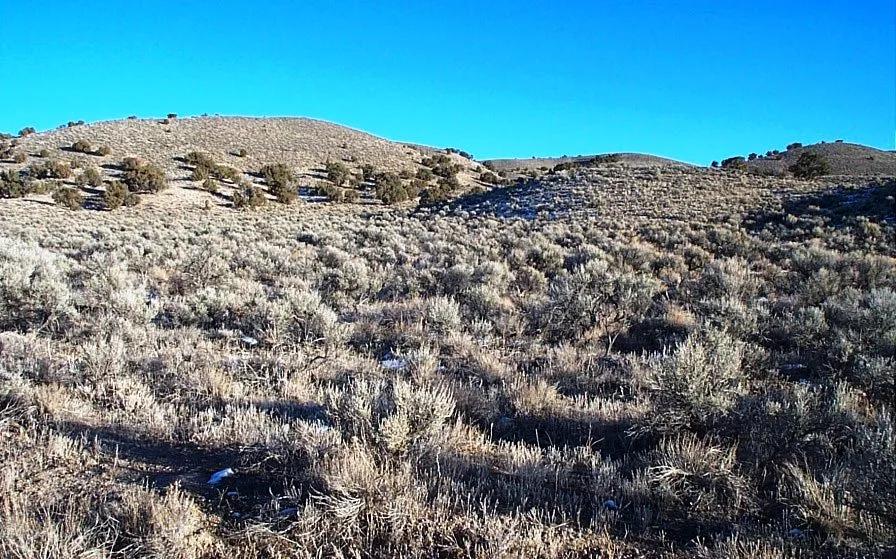 14 miles West of montello in the rolling hills * 40 acre mini ranch