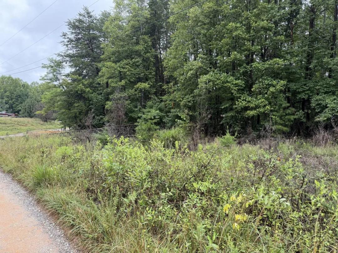 5.49 Acres at  Tbd Carson Dr