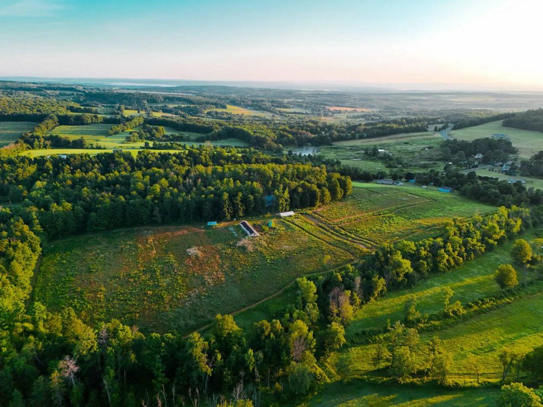 Country Homestead &amp; Farm Living on 29 +/- Acres