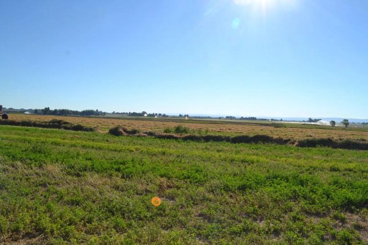 50Acres West of Idaho Falls