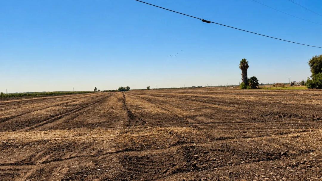 Northern California 20 Acres in Clarksburg for Sale with Riparian Water Rights