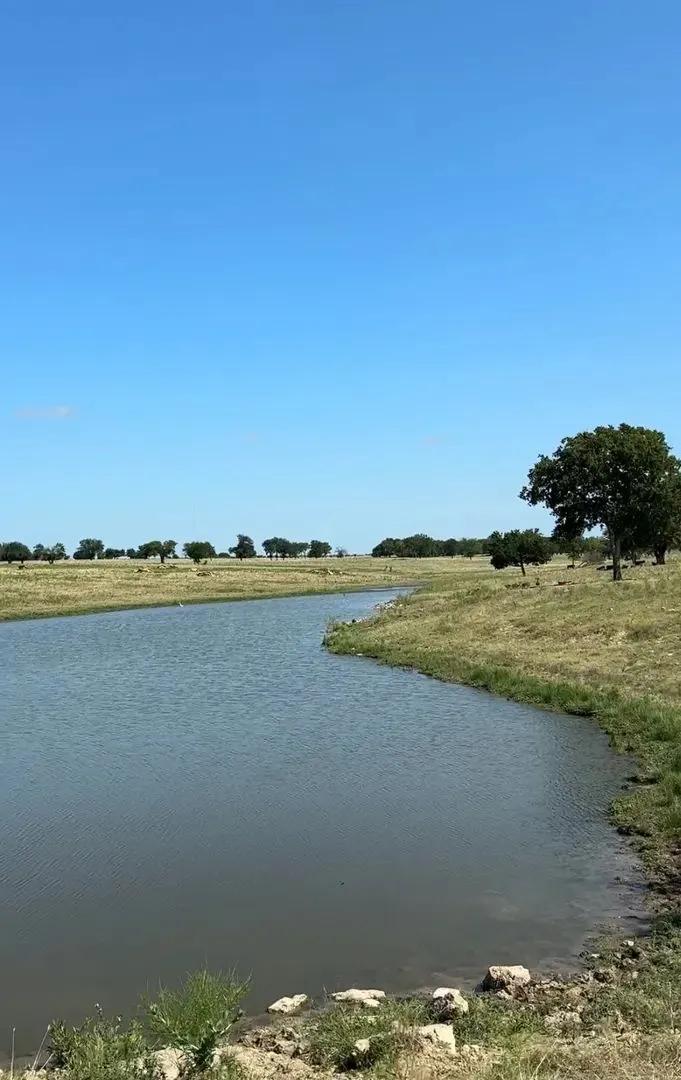 Kingston Cattle Ranch 750