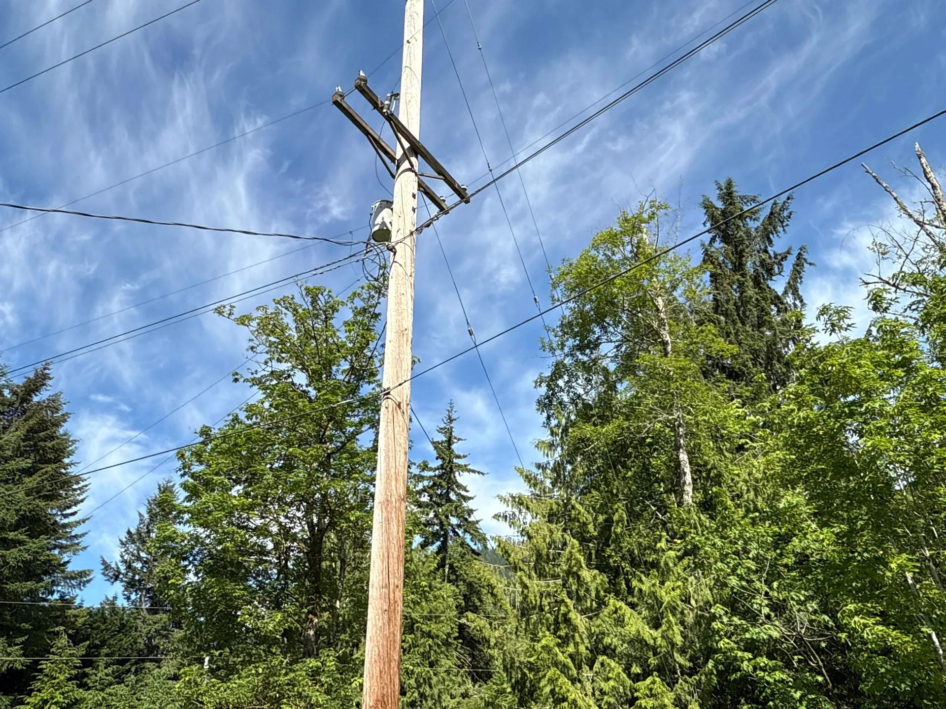 29484373-17