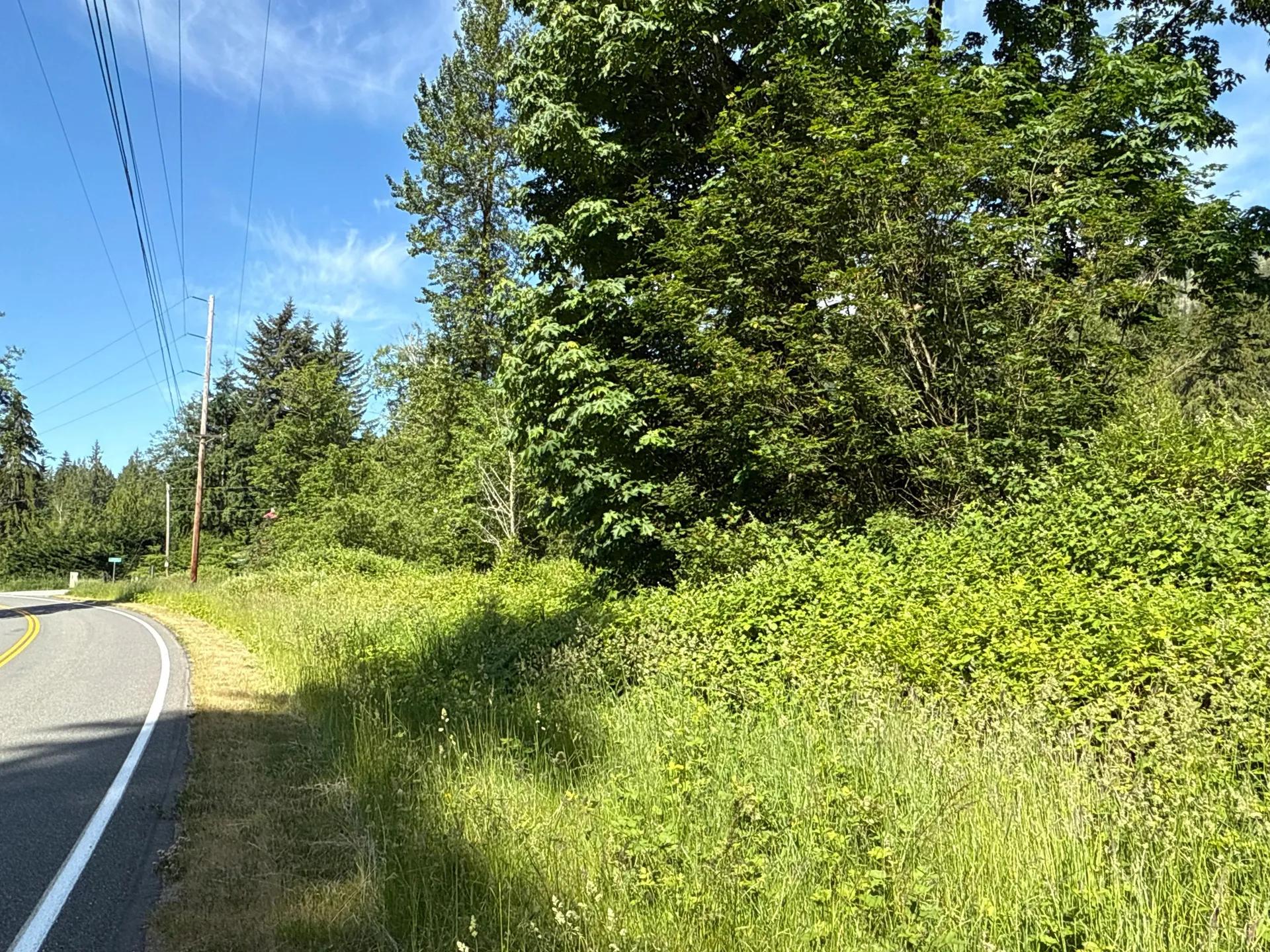 29484373-9