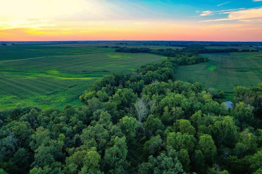 Listing #19717 - 165.00 acres in Buchanan County, IA