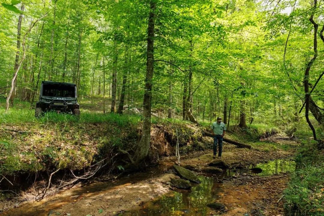 396 Acres Near Lake Martin — Timber, Recreation & Investment