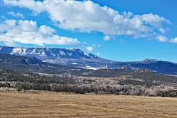 Hayground For Sale in Western Colorado 1