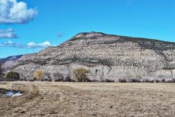 Hayground For Sale in Western Colorado 11