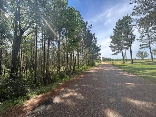44 Acres | Lawrence County, MS