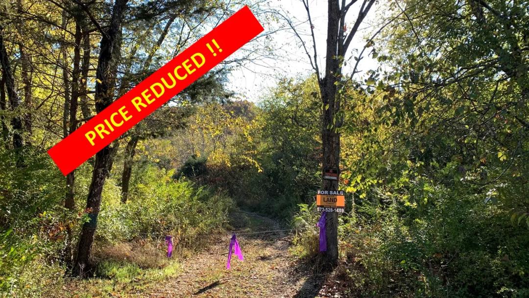 Winona Acreage