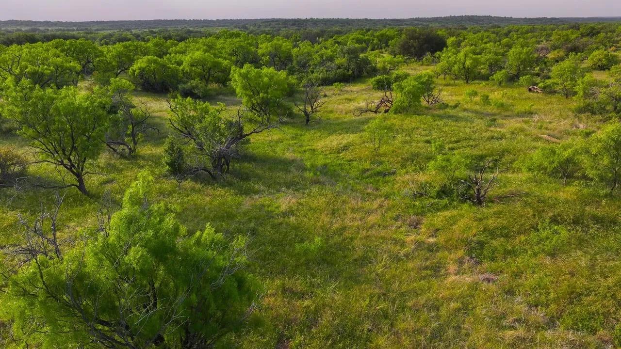 29589739-64