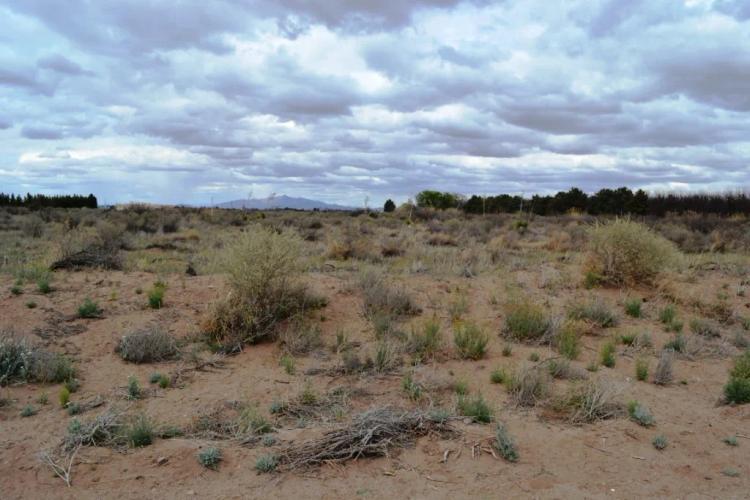 1.5 acres Sunny Southern New Mexico