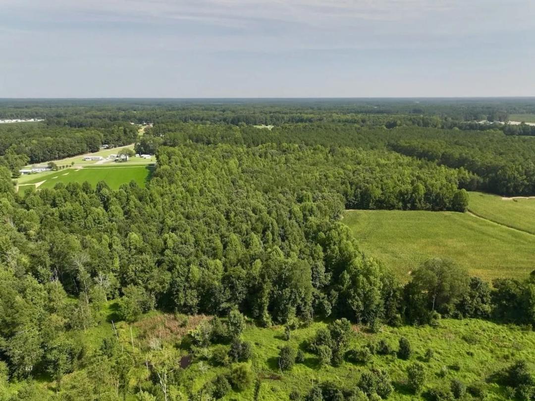 12.78 Acres of Mature Timberland for Sale in Wilson County, NC!