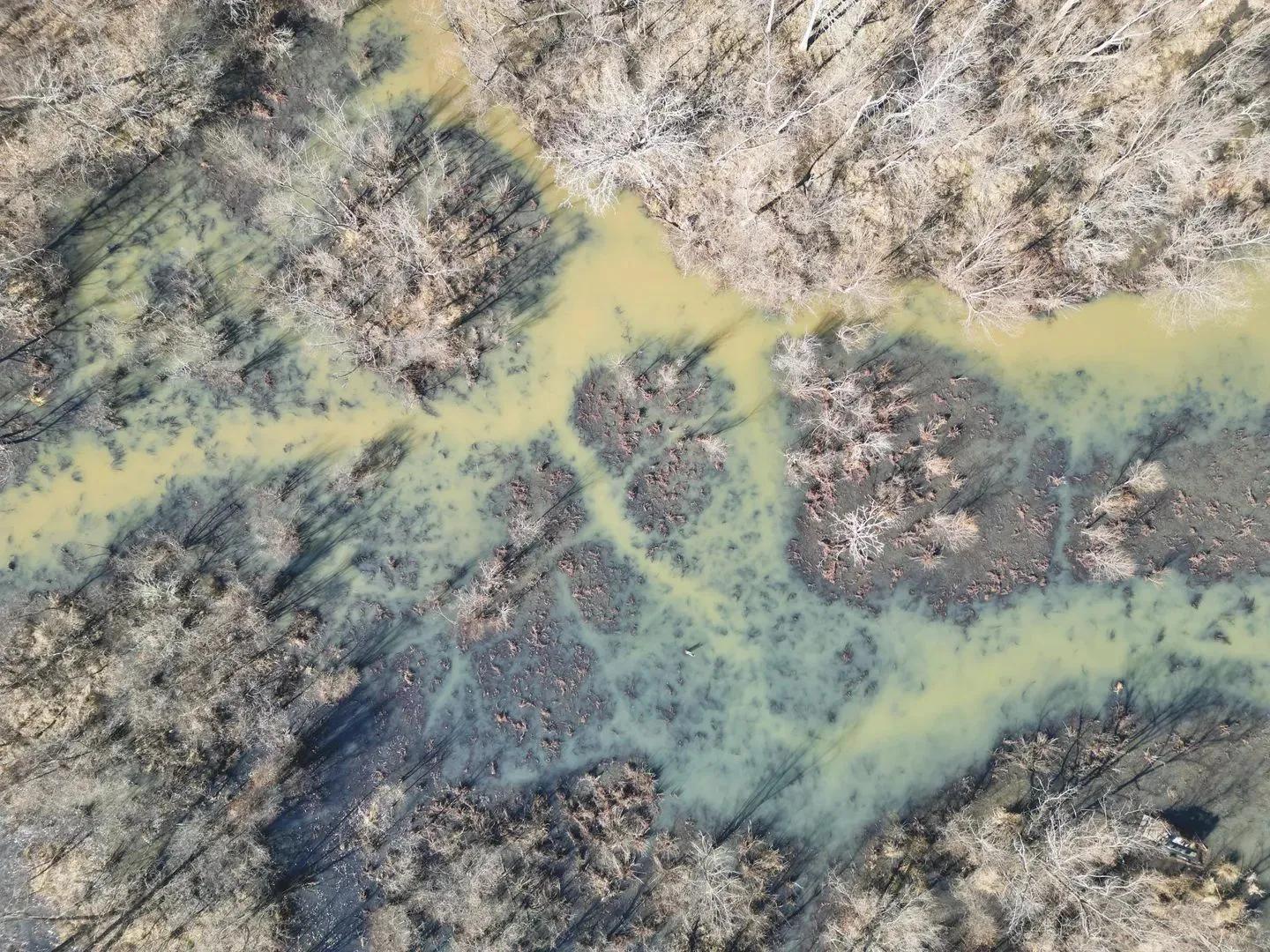 29627550-20