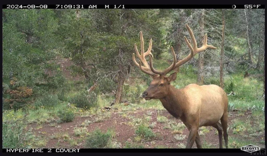 Property from TBD Spanish Peaks Dr - KW
