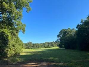 40 +/- Acres Developable Land in Oktibbeha County