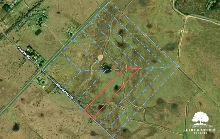 Needville Tract 10 | 12+ Acres | Only $15K Down