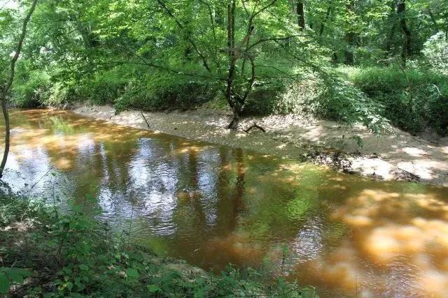 Wilson Creek South Tract