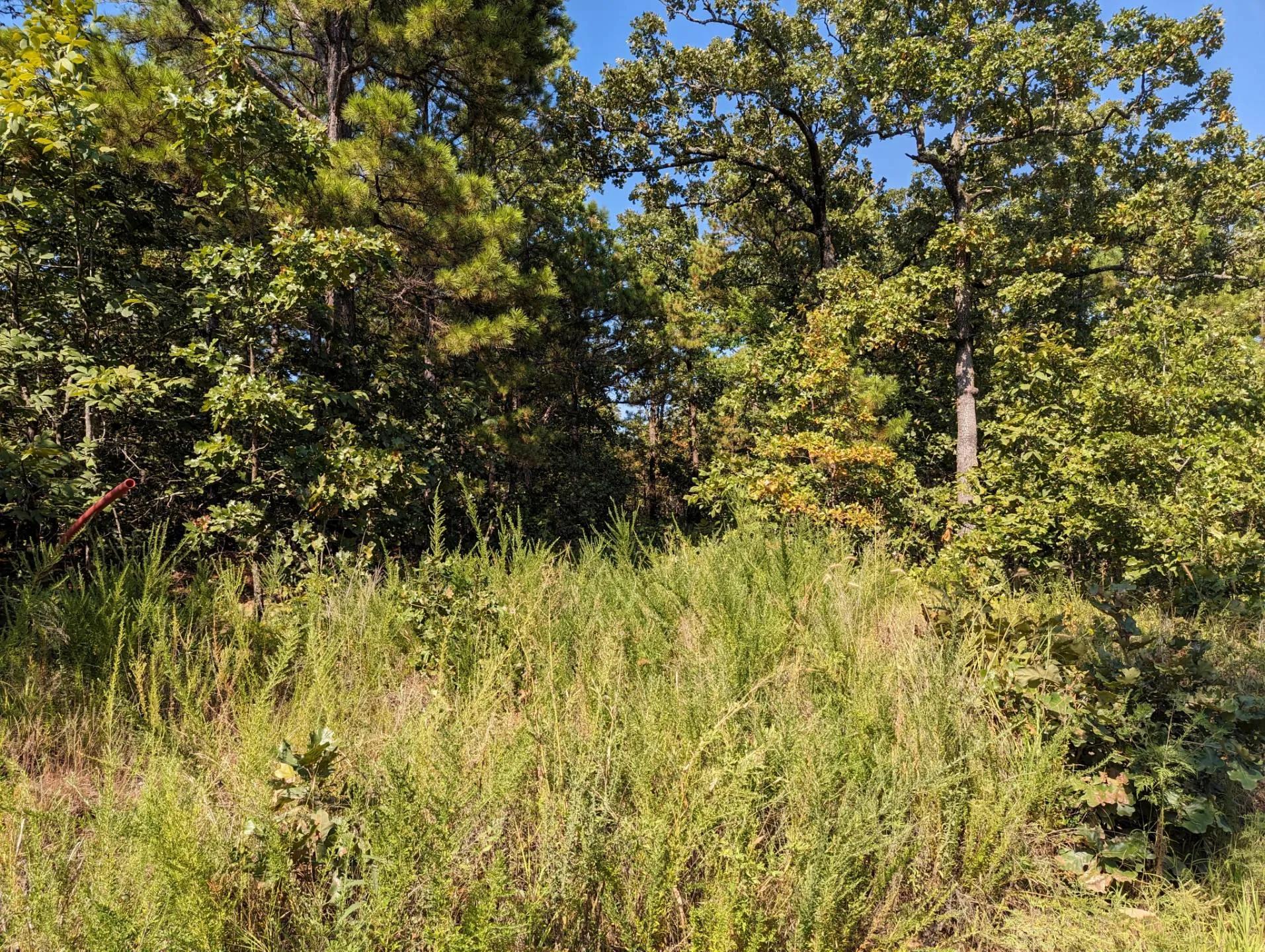 2974080-15