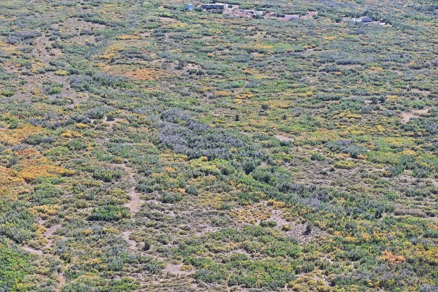 29755880-7