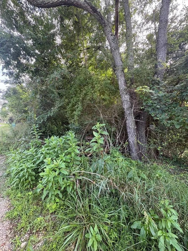 Attn: Developers Buildable Lot For Sale or Recreation