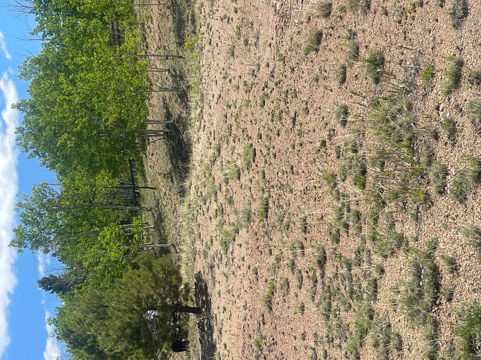 29833806-7