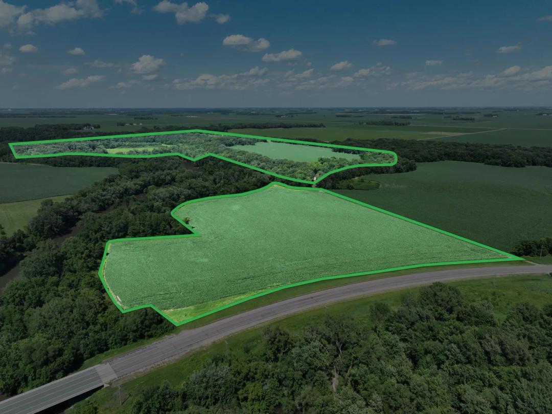 149.29± Acres of Income-Producing Farmland & Hunting Land – Blue Earth County, MN