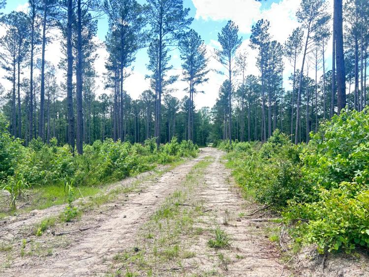 80 A Columbia Highway N Aiken, SC