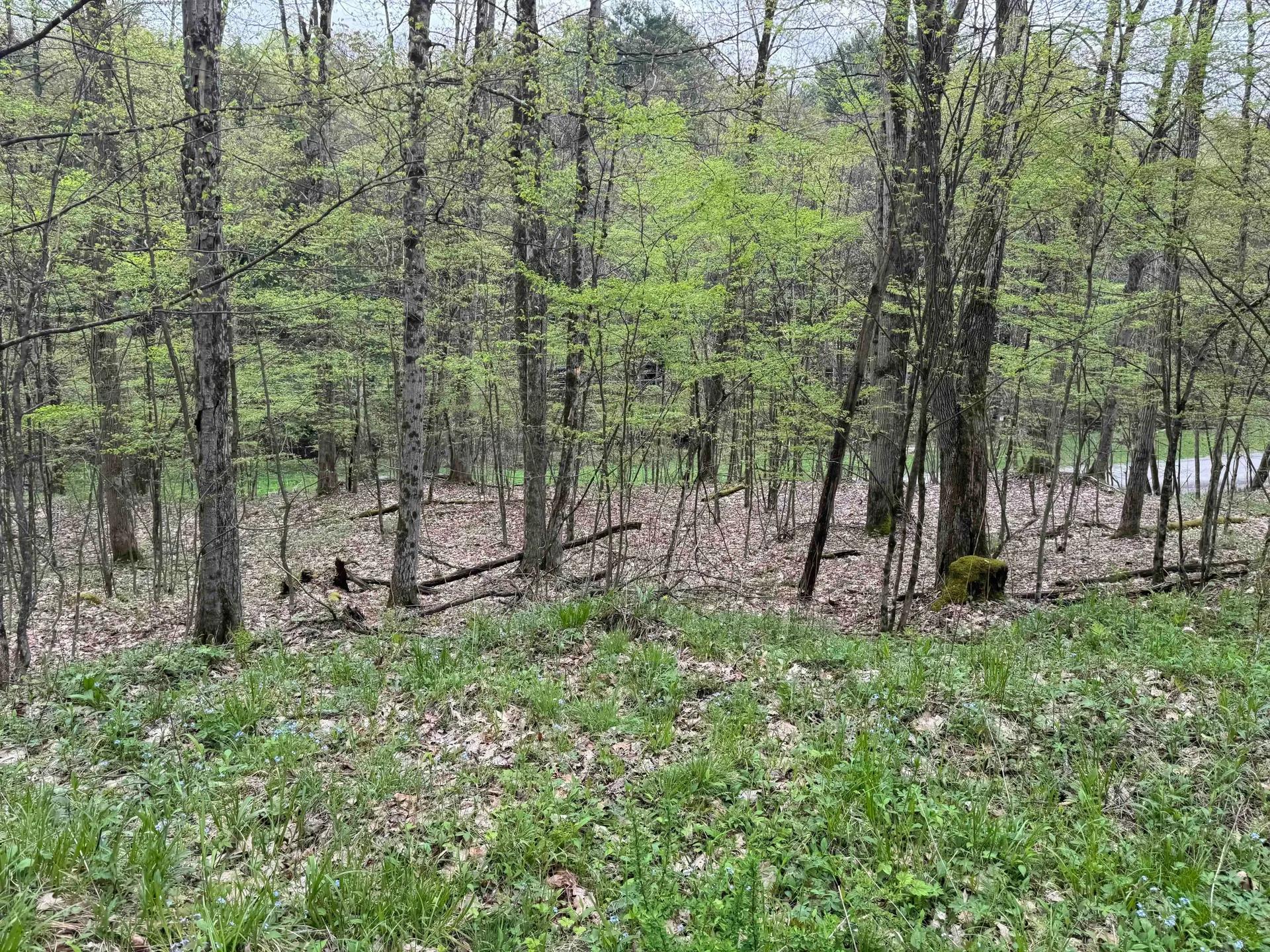 29877243-6