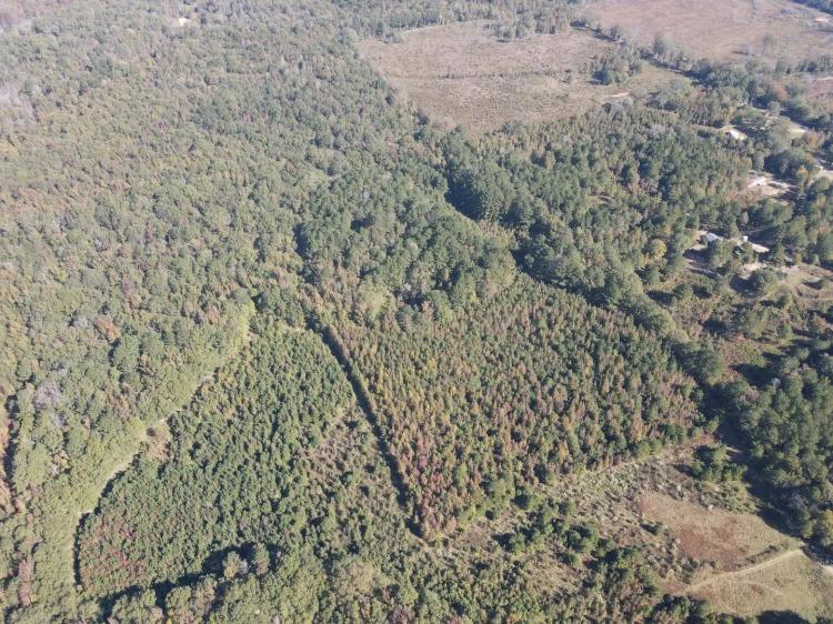 20 Acres in Leake County, MS