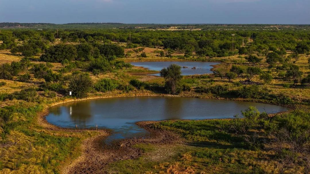 Cross Timbers