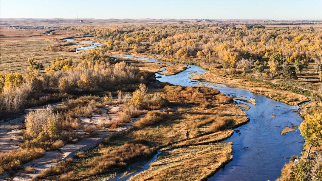 Sterling South Platte 115