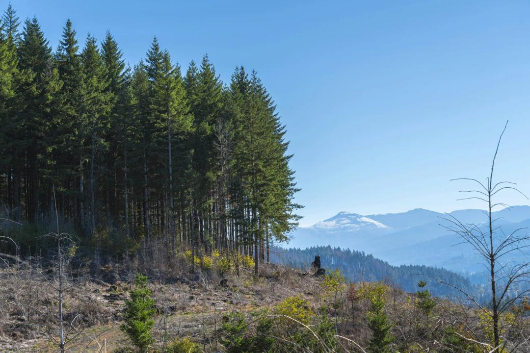 Large tract home site - County Approved