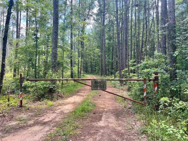 9 Acres with a Cabin in Jasper County, MS