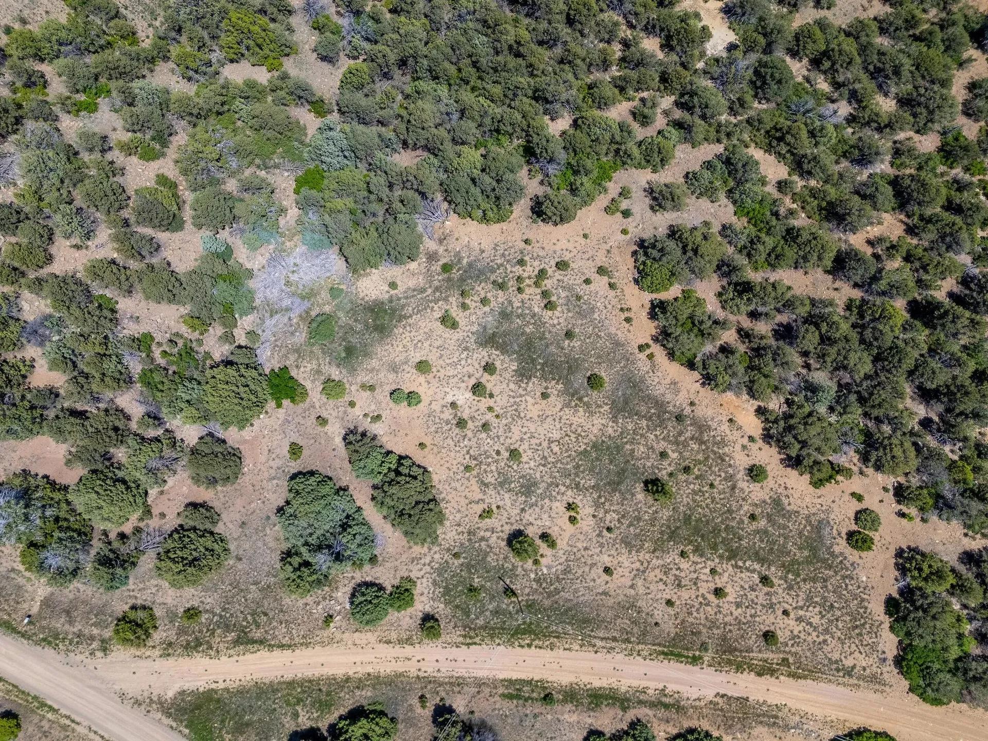 29946192-31