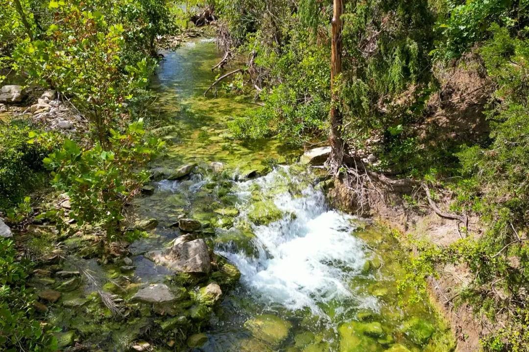 CROSSFIRE TRAIL RANCH 